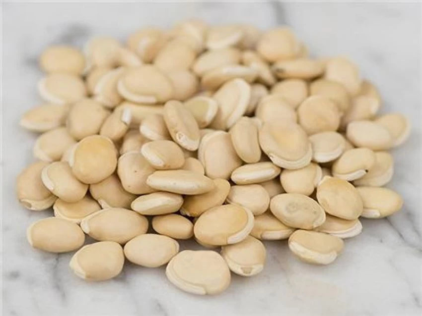 White Bean (வெள்ளை மொச்சை/ Vellai Mochai/Burma Mochai) – Nutritious & Protein-Rich Legume