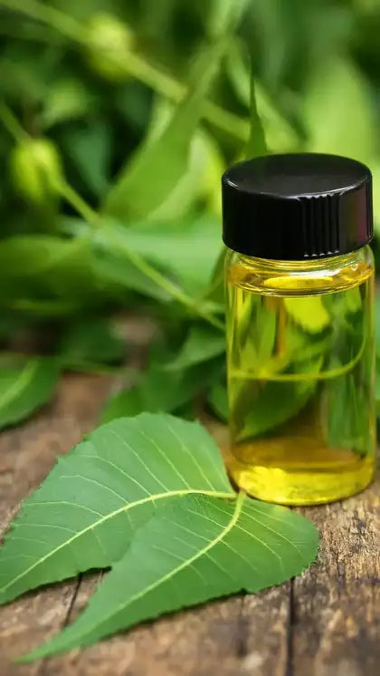 வேப்பெண்ணெய் / Neem Oil/Veppennai – Natural Antibacterial & Ayurvedic Remedy