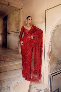 TRENDBUY Red Bollywood Sequin Saree with Heavy Embroidered Net Blouse