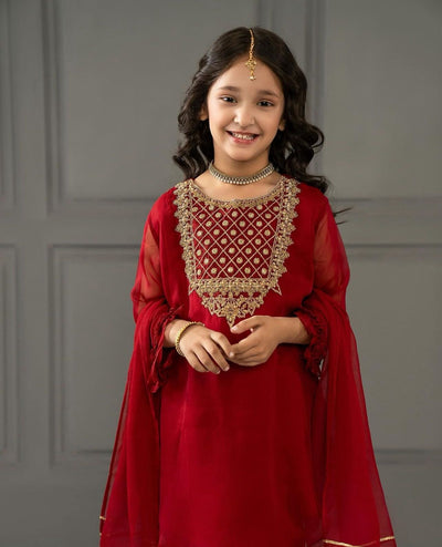 Girls' Embroidery Sequence Set | Fox Georgette | 3-15 Yrs | TREND BUY