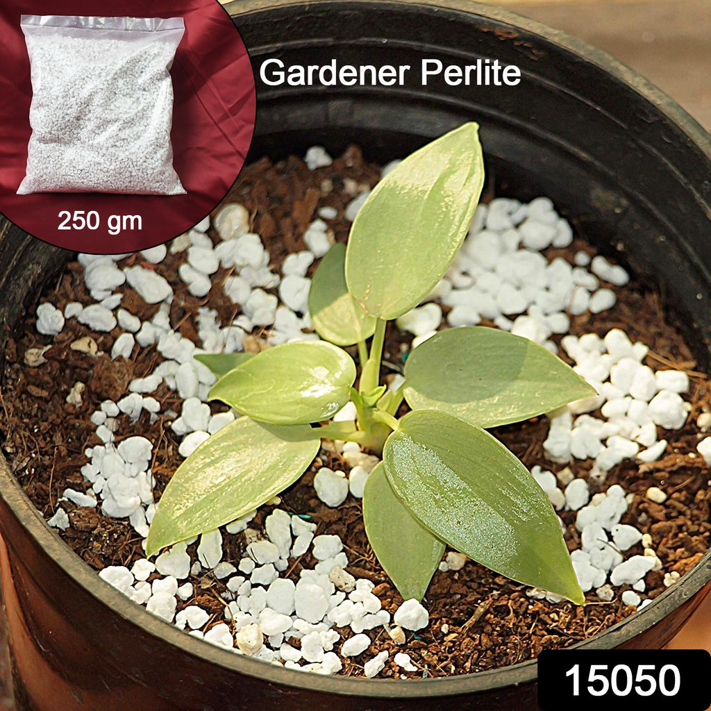 White, porous Paradise Perlite soil conditioner for hydroponics, horticulture & terrace gardening