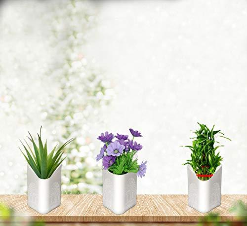 3858 Plastic Vertical Hanging Planter Pot Multicolour - TREND BUY