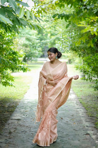 Luxurious Banarasi Raw Silk Saree with Elegant Zari Lining and Rich Weaving