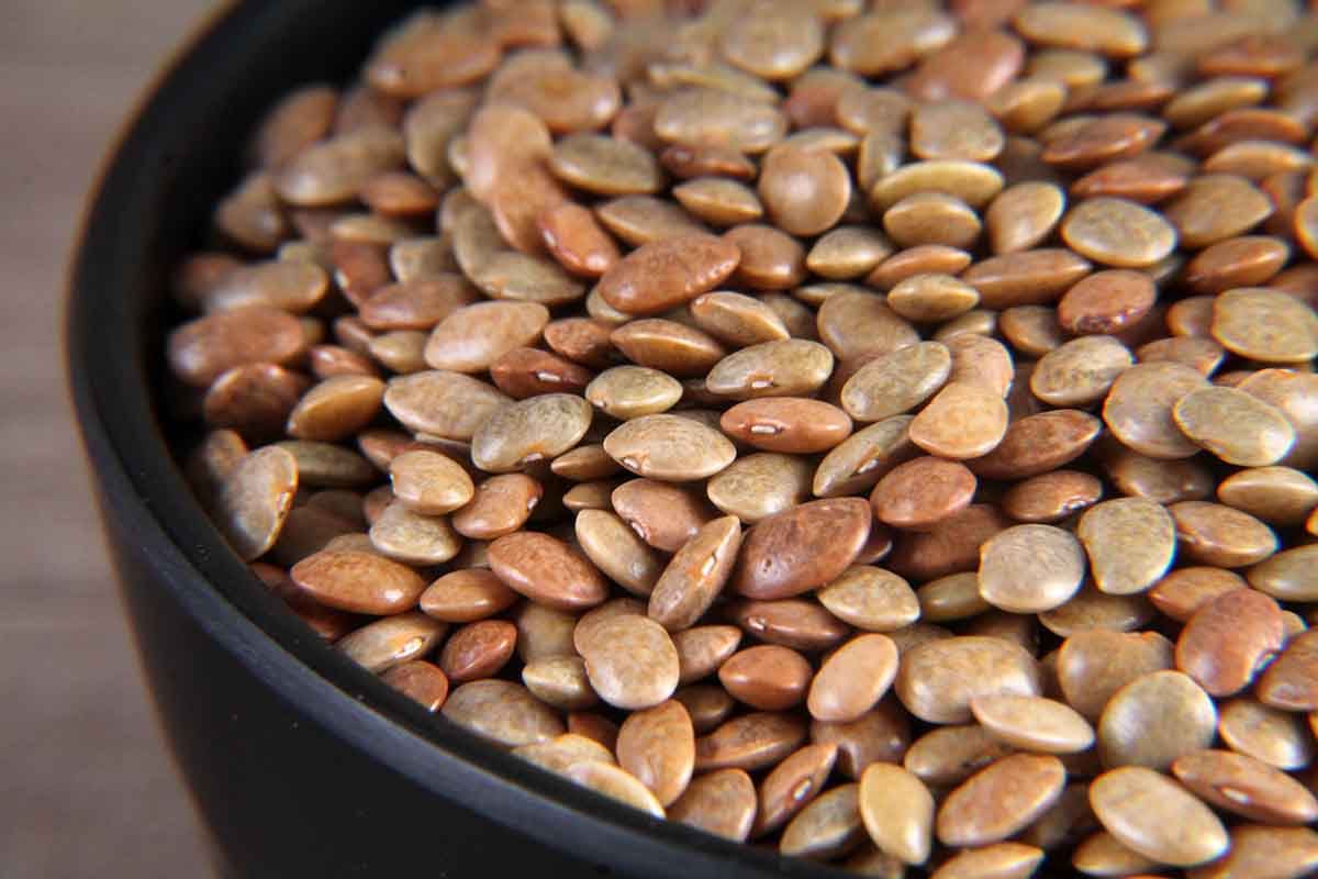 Horse Gram (கொள்ளு பயறு/ Kollu Payaru) – High-Protein & Nutritious