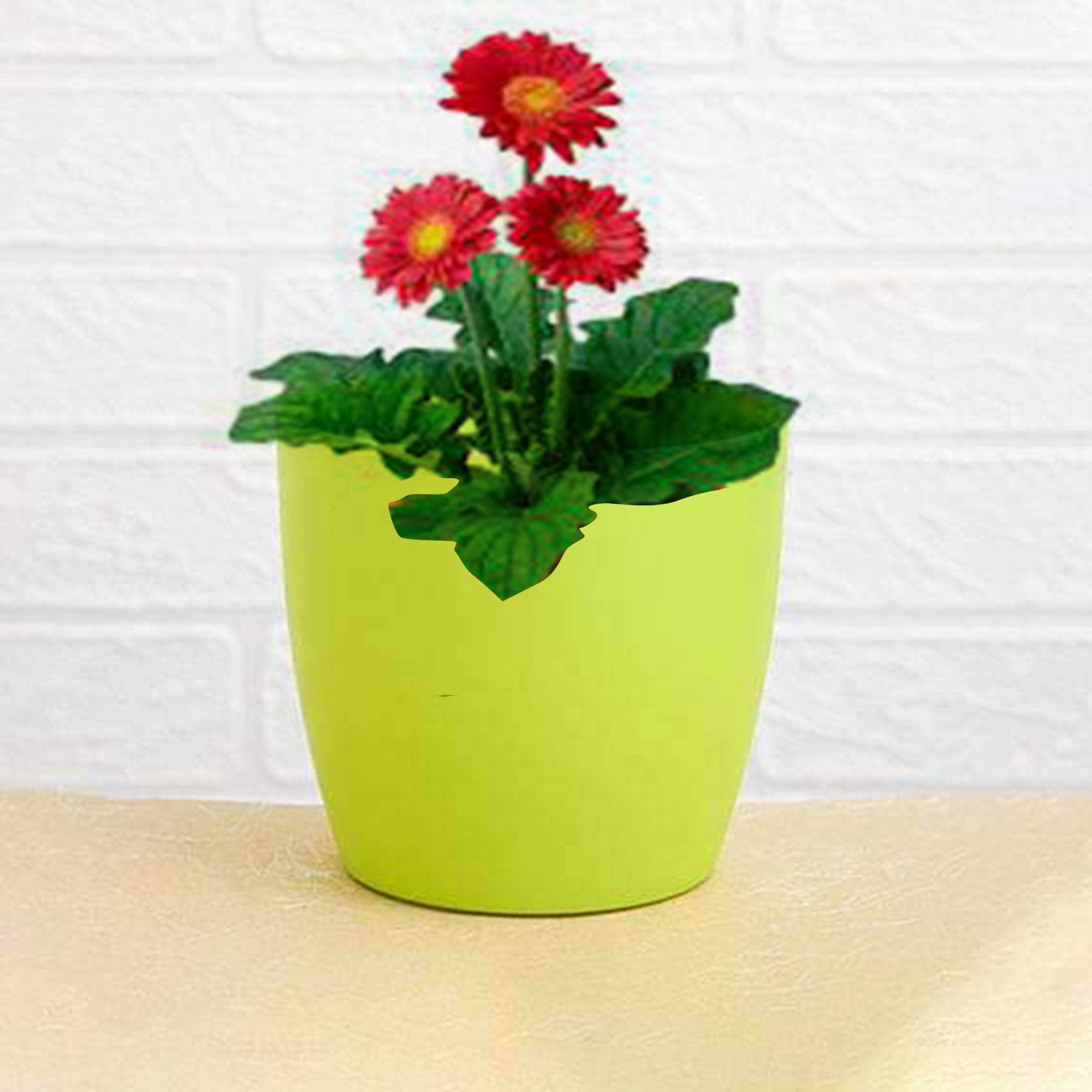1191 Flower Pots Round Shape For Indooroutdoor Gardening - TREND BUY