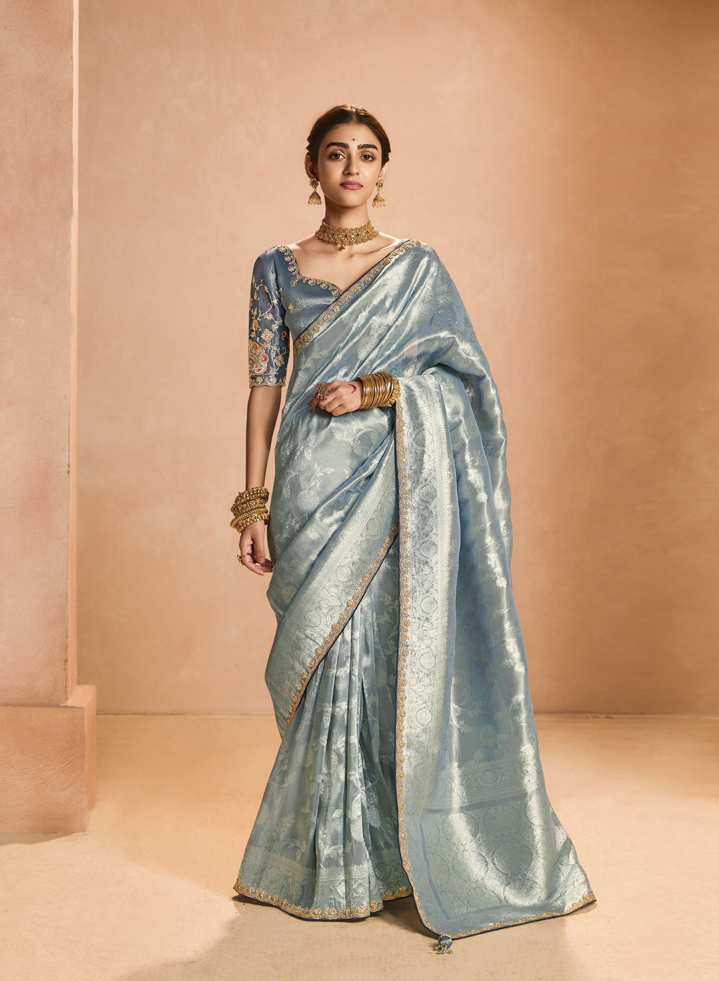 Latest beautiful tissue silk saree, elegantly draped to showcase its luxurious texture.