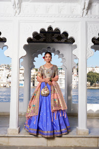 Sky Blue Jacquard Silk Paithani Lehenga Choli | TRENDBUY