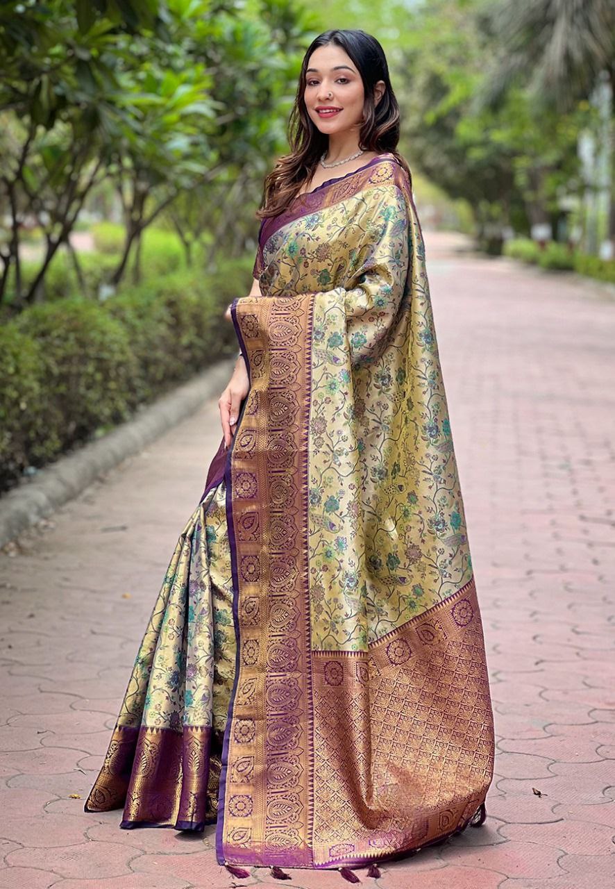 Wedding Dharmavaram silk saree featuring intricate traditional motifs and shimmering gold zari work.