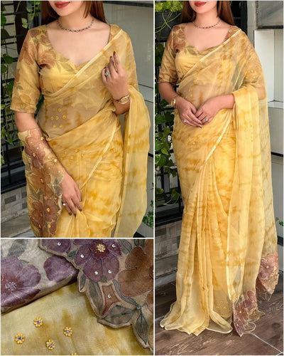 Designer Glass Tissue Saree - Hand Applique Work for Women