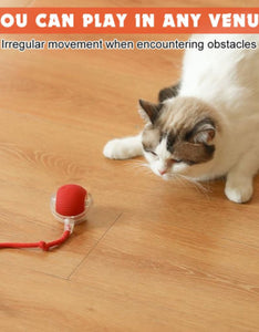Premium Interactive Electric Dog Ball Toy - Durable Self-Rolling Smart Pet Toy for Boredom Relief & Solo Play