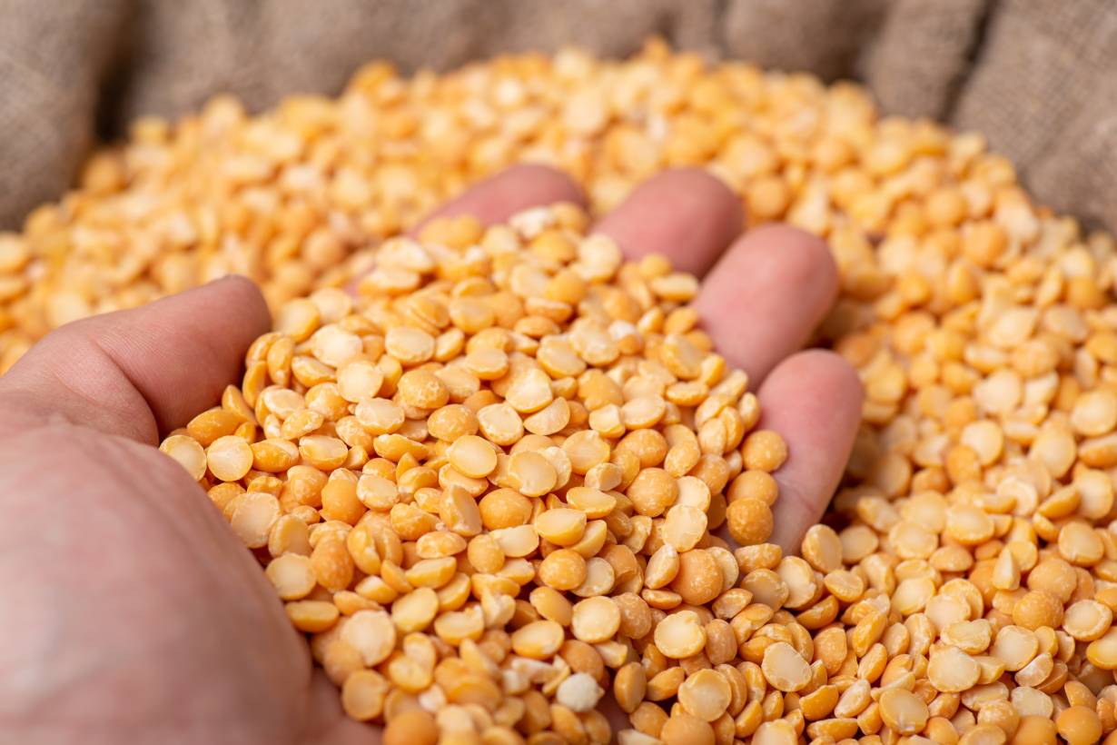 Split Peas (பட்டாணி பருப்பு/Pattaani Paruppu) – Protein-Rich & Fiber-Packed Legume