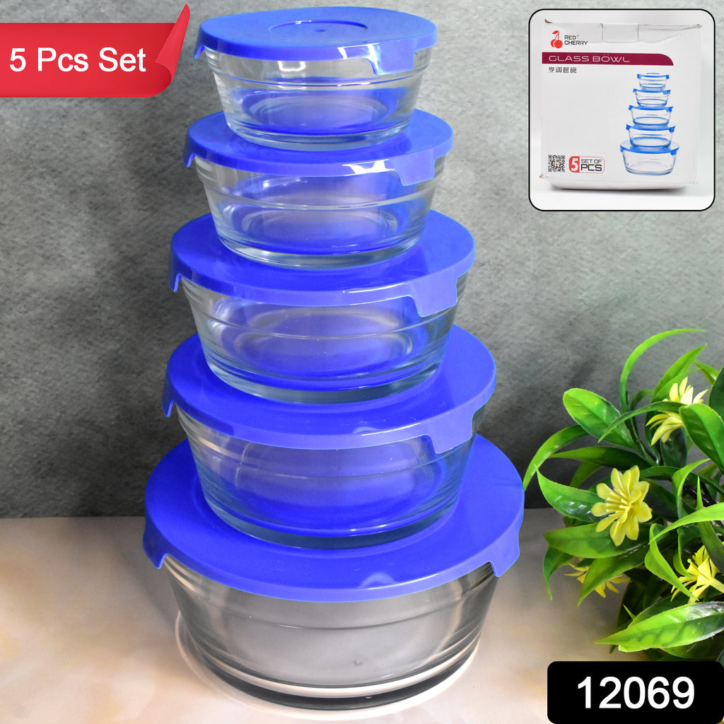 Modern 5-piece glass mixing and storage bowl set with blue lids, showing nested and open bowls.