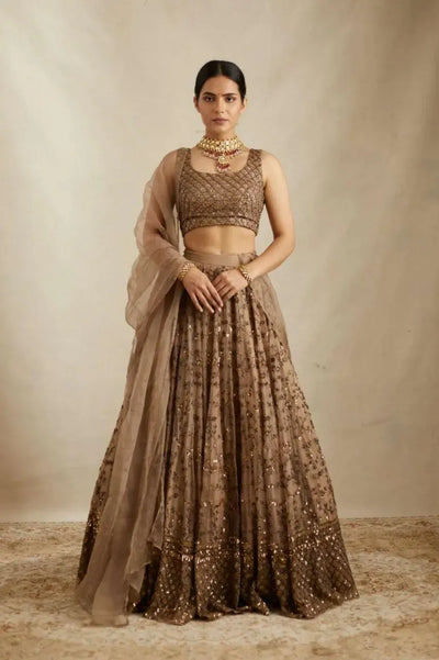 Elegant Brown Net Lehenga - Zari & Sequin Embroidery for Festive Weddings