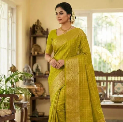 Elegant Nylon Dola Silk Saree - Zari Weaving & Sequin Blouse for Women