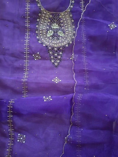 Elegant Organza Kurta Set - Zardogi Handwork for Women | Festive Spring Collection