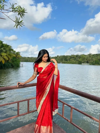 Elegant Organza Saree - Mirror Work Lace Border for Festive Wear