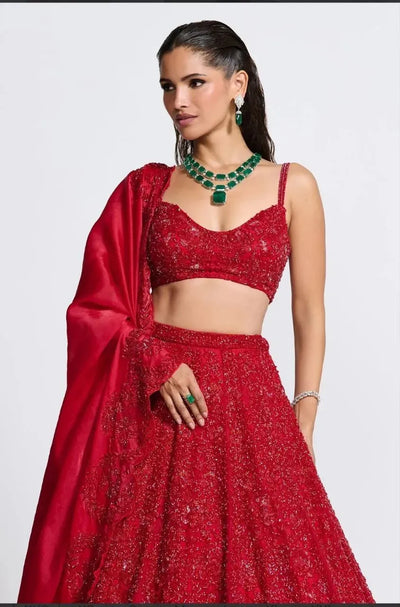Exclusive Bridal Lehenga - Heavy Sequins Embroidery for Wedding & Festive Wear
