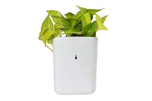 3858 Plastic Vertical Hanging Planter Pot Multicolour - TREND BUY
