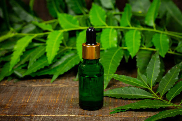 வேப்பெண்ணெய் / Neem Oil/Veppennai – Natural Antibacterial & Ayurvedic Remedy