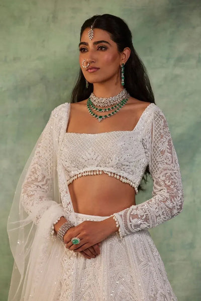 Luxe Bridal Lehenga - Heavy Sequins Work for Wedding Wear