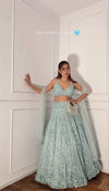 Luxe Butterfly Net Lehenga with Heavy Embroidery and Sequins Work for Women
