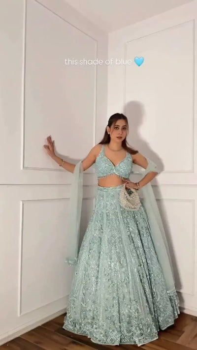 Luxe Butterfly Net Lehenga with Heavy Embroidery and Sequins Work for Women