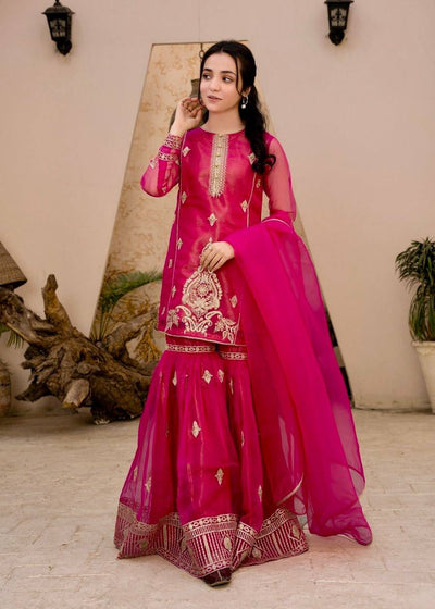Designer Palazzo Suit Embroidered for Women | Party Wear