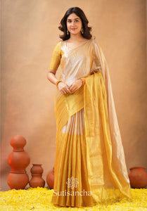 Khadi Cotton Tissue Handloom Saree for Women | Ethnic Everyday Wear