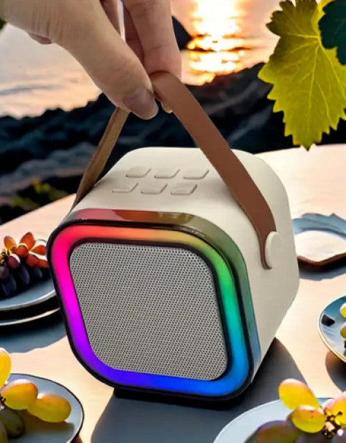 Portable Bluetooth Speaker with Wireless Microphone