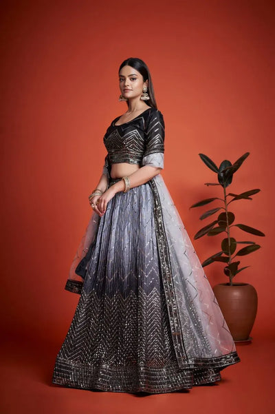 Premium Heavy Chinon Lehenga - Gorgeous Sequins Embroidery Set for Festive Wear