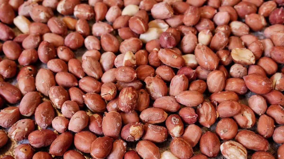 Roasted Groundnut (வறுத்த நிலக்கடலை/ Varutha Nilakadalai) – Crunchy & Protein-Rich