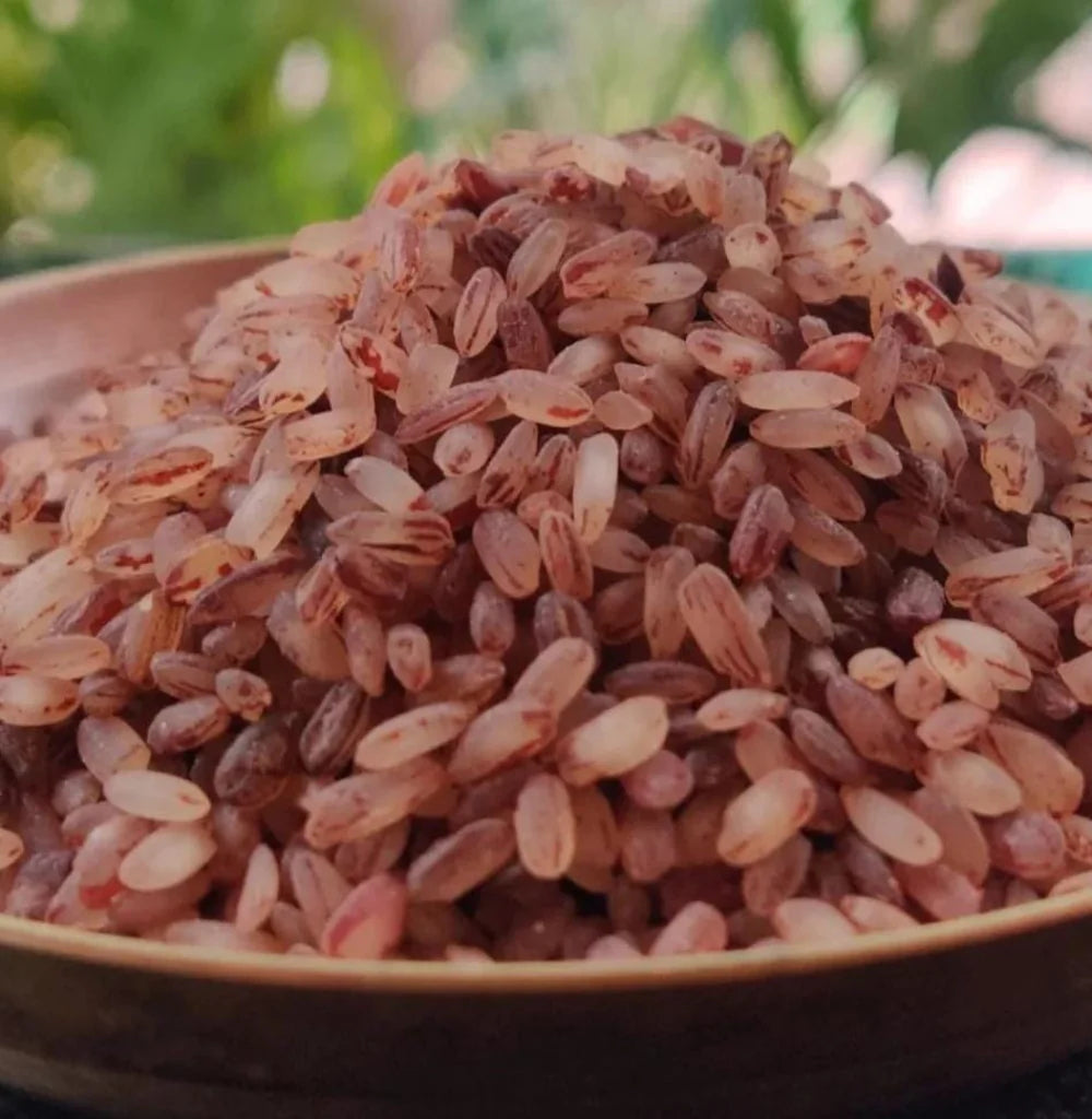 Kerala Mattai Raw Rice / மட்டை பச்சரிசி/Mattai pacharisi – Traditional & Nutritious Rice