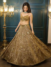 Stunning Lehenga for Women - Heavy Sequins Bridal Wear