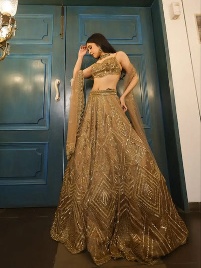 Stunning Lehenga for Women - Heavy Sequins Bridal Wear