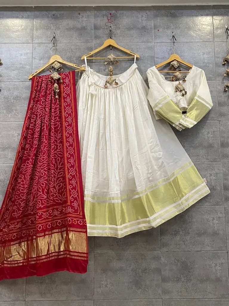Lehenga Choli Set