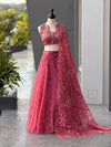 Stunning Organza Lehenga with Embroidery Blouse - Elegant Festive Wear for Women