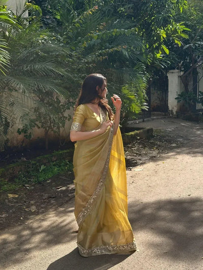 Stunning Organza Saree - Mirror Work & Rich Pallu for Festive Wear