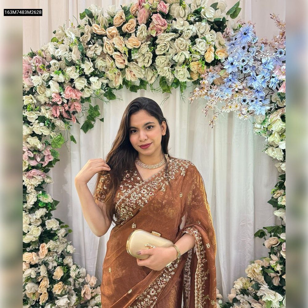 Model showcasing a TRENDBUY Brown Fandy Chiffon Silk Saree with embroidered blouse, holding a clutch, with a serene expression.